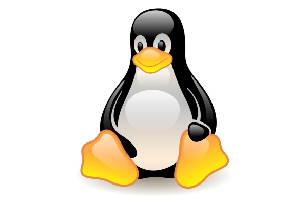 Linux Administration